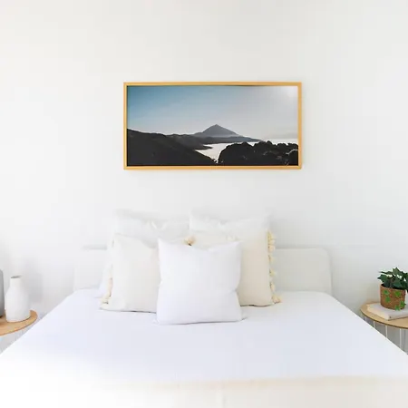 Home2book Dream Haven Pool&terrace Apartmán