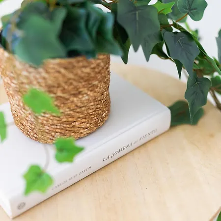 Home2book Dream Haven Pool&terrace *