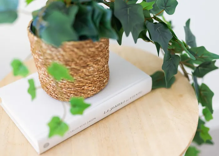 Home2book Dream Haven Pool&terrace *